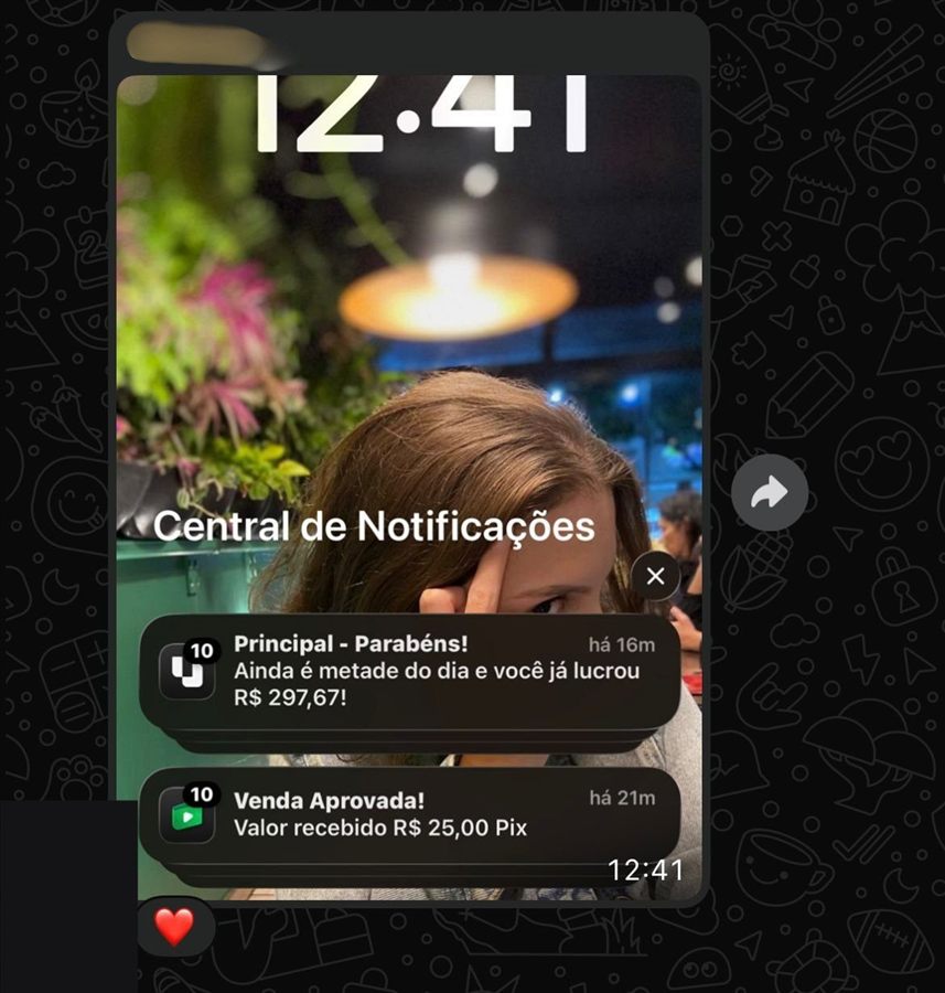 Notificação de lucro de um aluno da comunidade